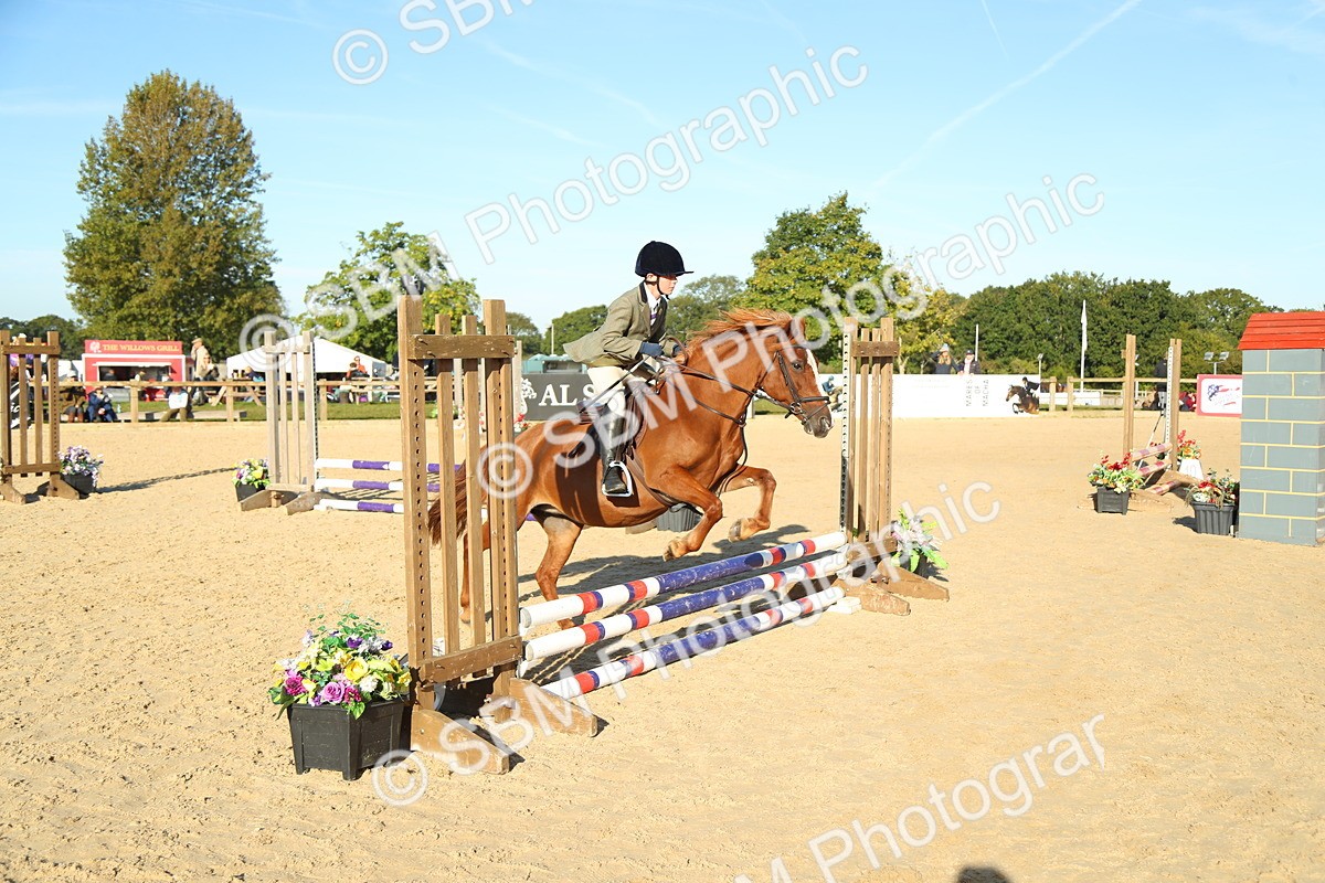 SBM_35030 - J5 - Junior Pony 50cm Championship