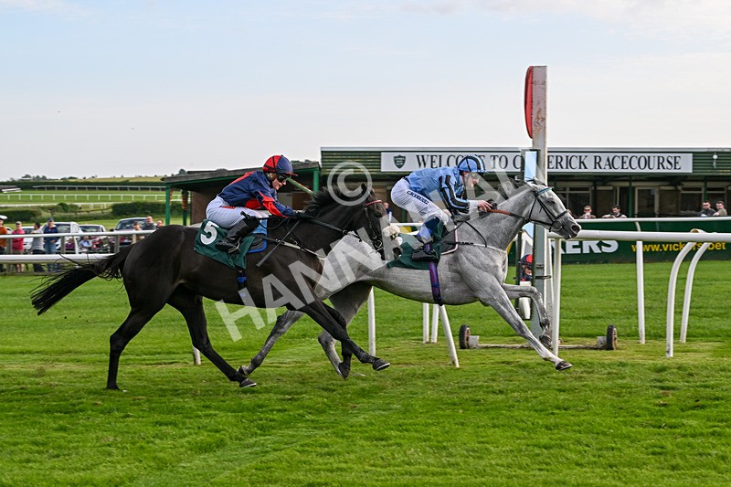 100625-Race 5-Crowns Lady-7266 - Race 5