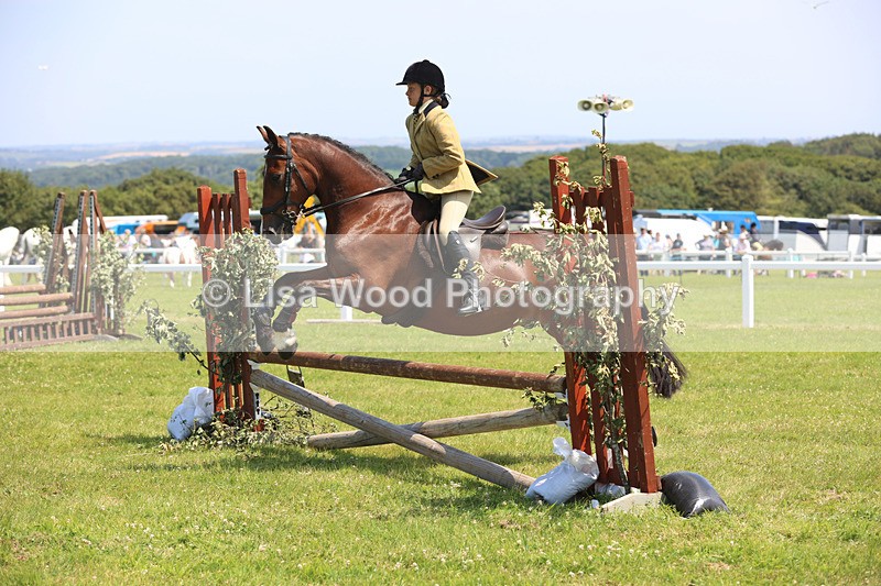 JPP_2994 - Class 22: Working Hunter 70cm