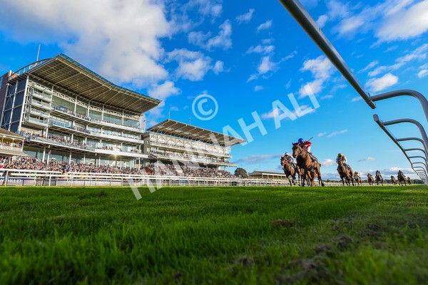 141023-Race 7-Star Ahoy-4156 - Race 7 4.45pm Coral 'Committed To Safer Gambling' Finale Handicap