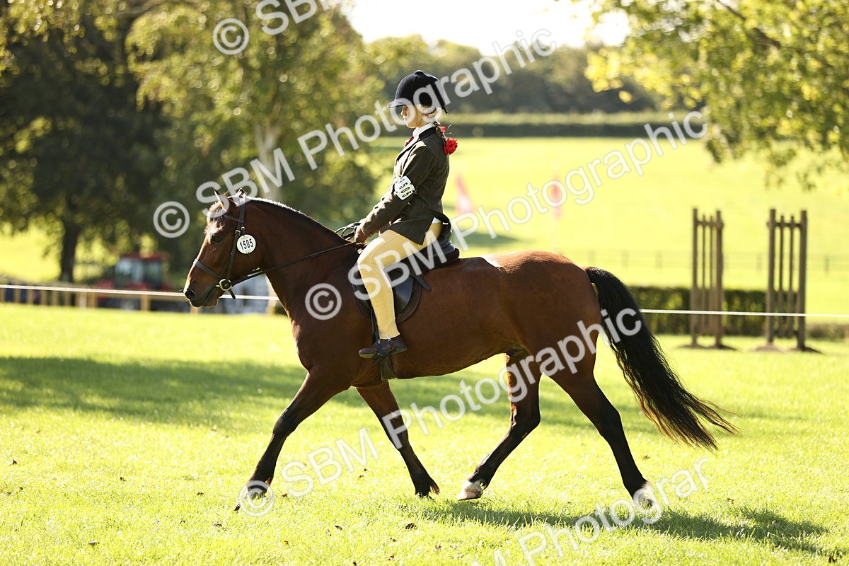 SBM_19101 - S3 - TSR Ridden Pony Showing
