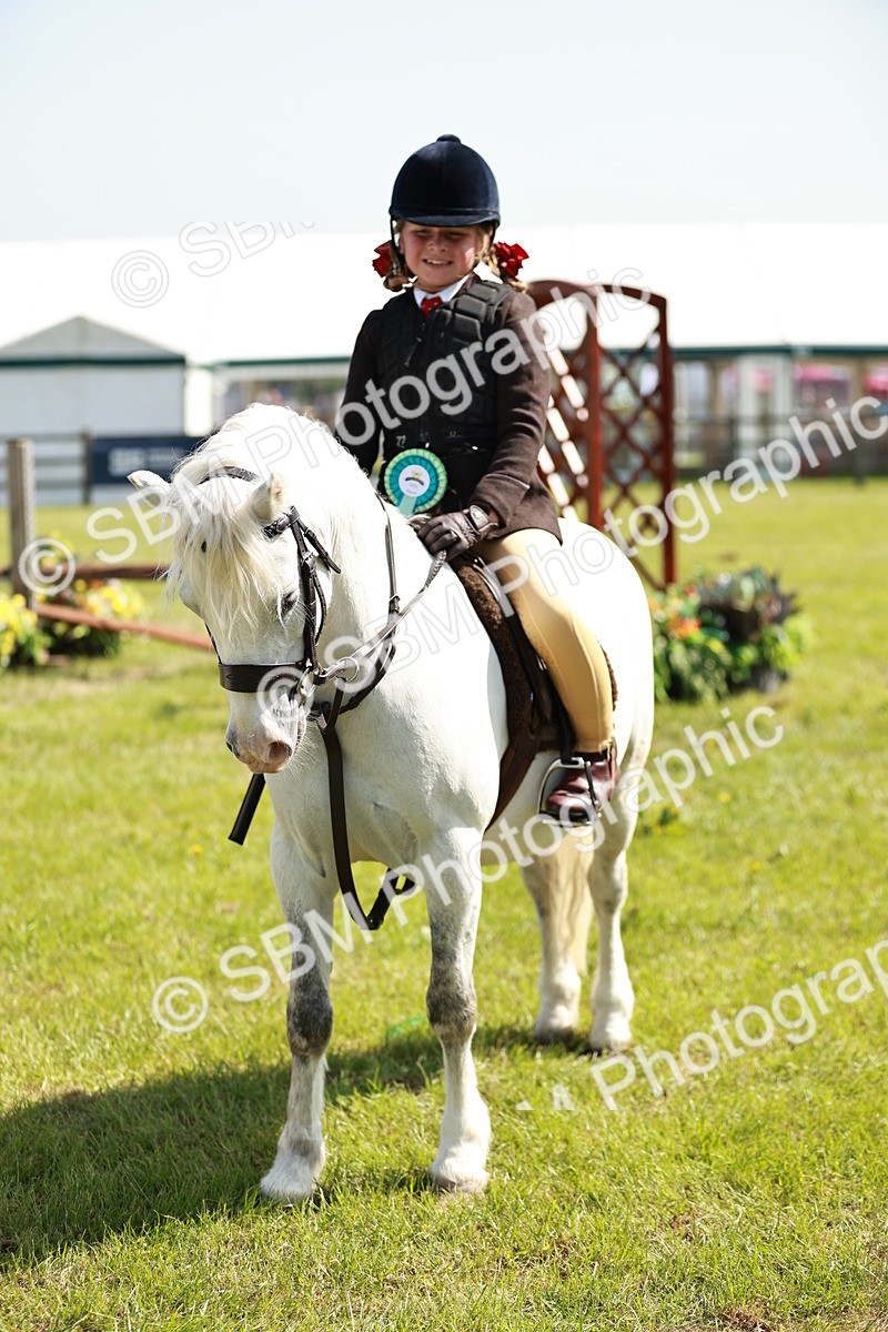 SBM_12824 - Class 106-107 - BSPS LIHS Working Sports Pony