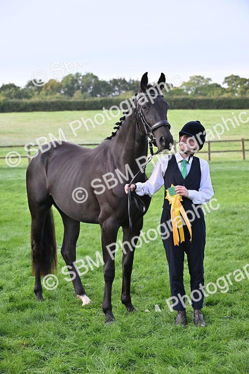 SBM_55383 - S44 - Youngstock In Hand