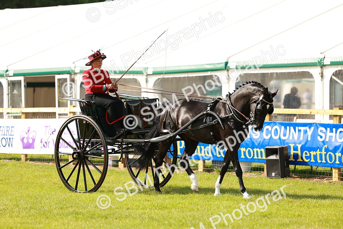 SBM_01136 - Class 2-4 - HOYS Private Driving