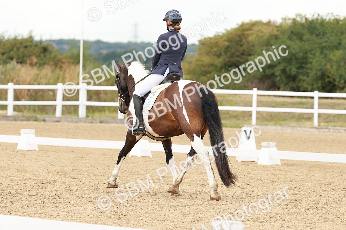 SBM_001824 - Class 8 - Elementary 6