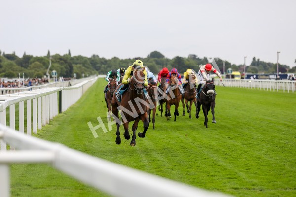 120724-Race 5-Sisyphean-1768 - Race 5 4.20pm George Blades Memorial Handicap