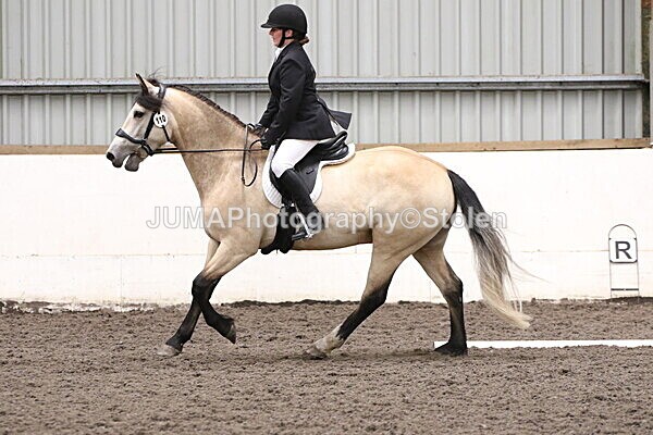 SIAL5223 - CAbin Dressage 5th july 2025