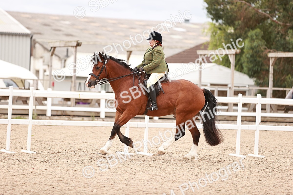 SBM_18981 - Class 422 - Ridden M&M