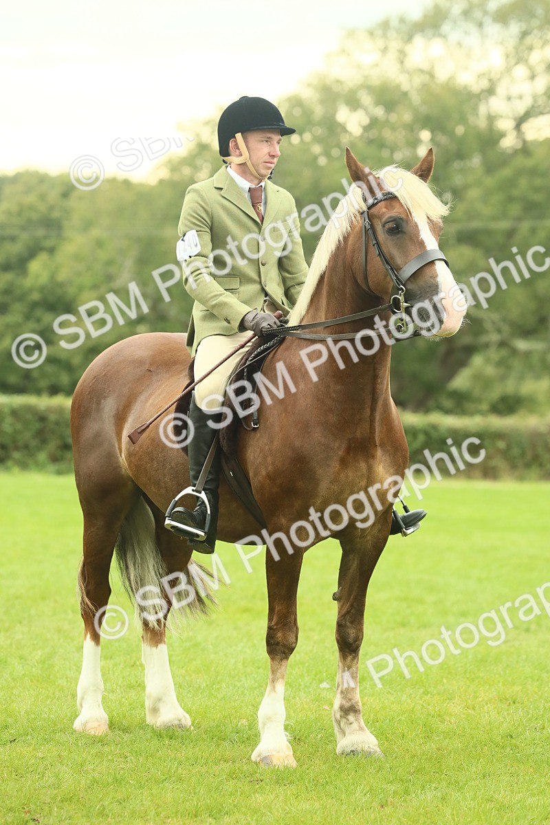 SBM_72222 - S60 - Mountain & Moorland Ridden Large Breeds