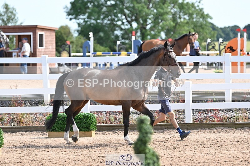 240717A-155405-03163 - Trot Up 3pm to 4pm