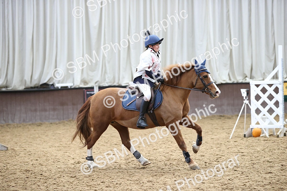 SBM_000643 - Class 2 - Show Jumping 50cm
