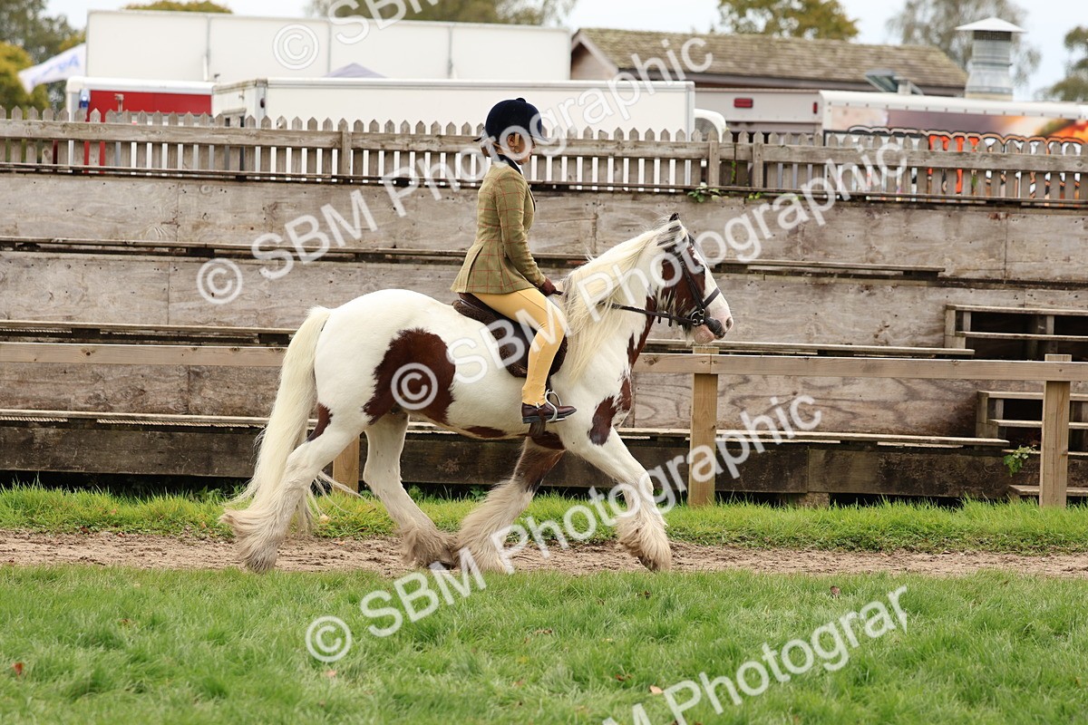 SBM_64428 - S58 - Coloured Pony Ridden
