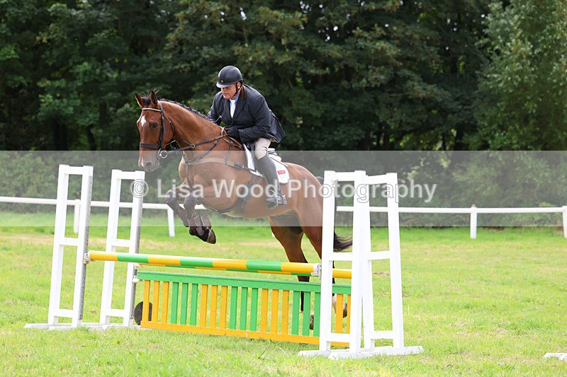 3E7A6893 - Class 5: Senior British Novice/90cm open