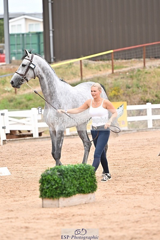 250716-155255-02255 - Trot Up 3.30 to 4.30