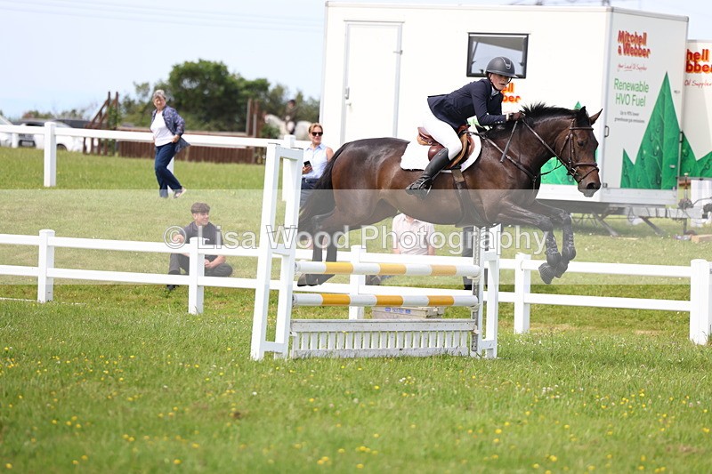 3E7A1586 - Class 13: Senior British Novice/90cm open