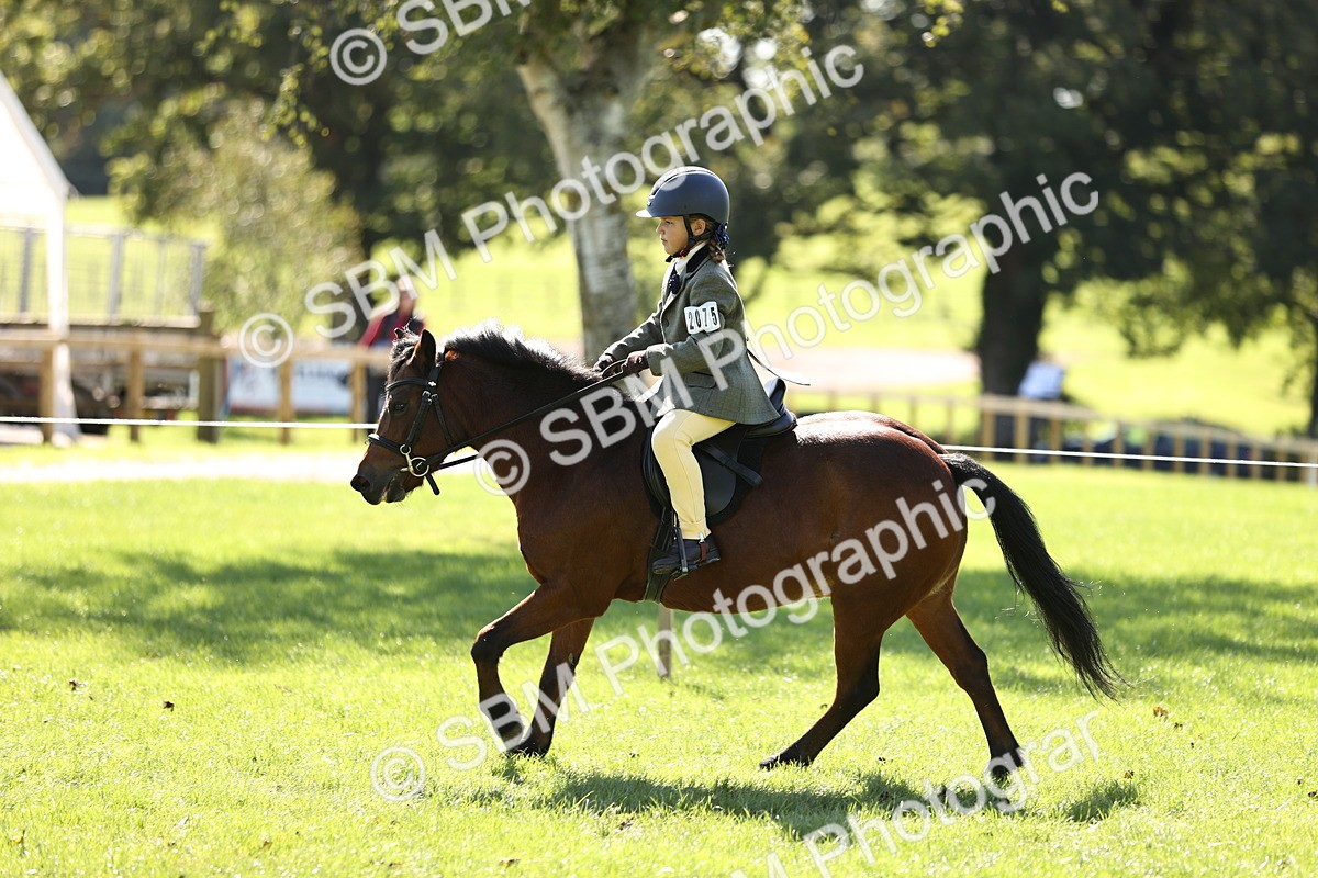 SBM_19342 - S3 - TSR Ridden Pony Showing