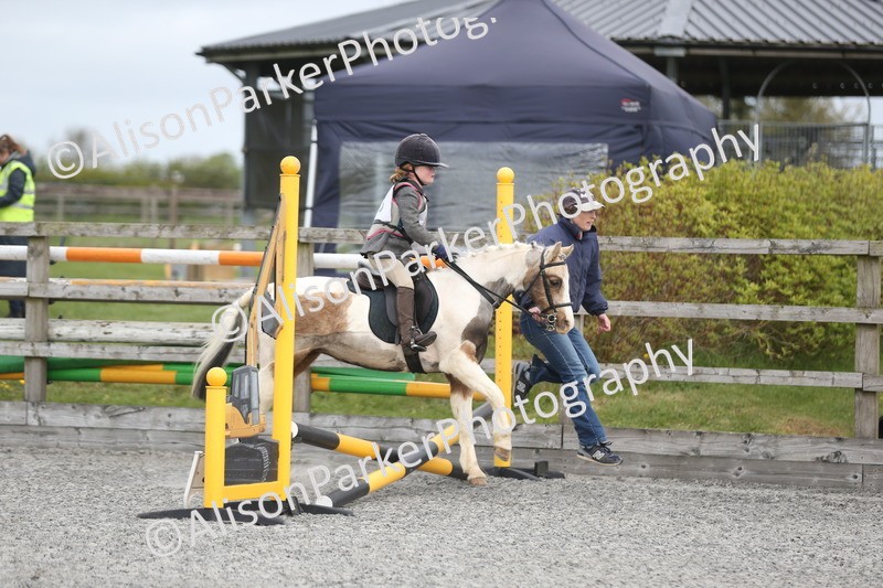 20260412-0152 - Show Jumping