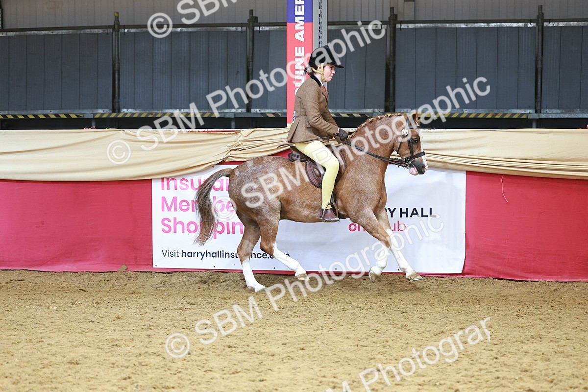 SBM_12440 - Class 103 - HOYS Veteran Qualifier - Ridden Pre Vet