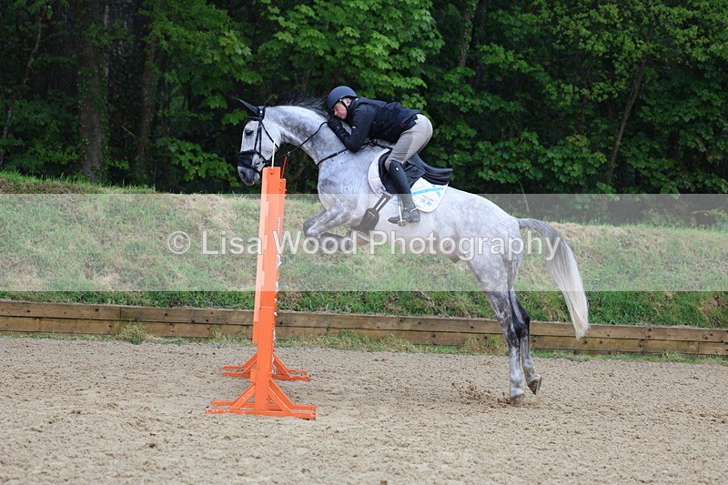 3E7A7393 - Class 8: Senior Foxhunter/1.20 open
