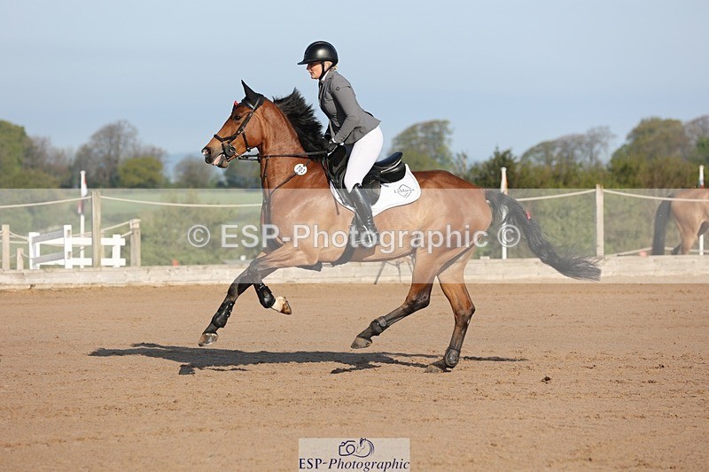 250427-083504-14544 - Cls 28 Young Horse 5yr old