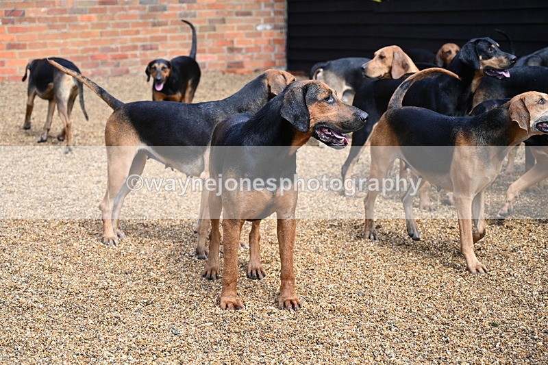 WJ7_7036 - Berks & Bucks at Blandy’s Farm 31-08-25