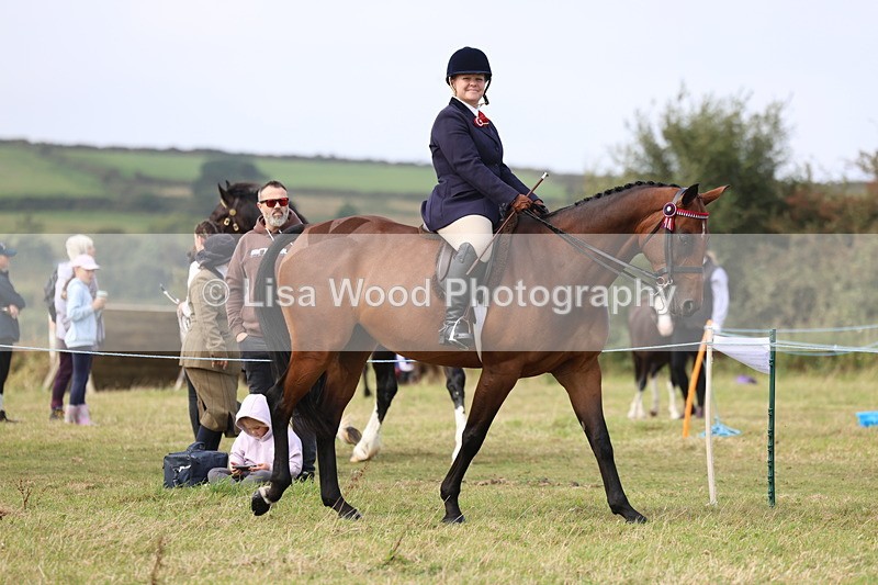 3E7A3897 - Class 4: Best Combination Open