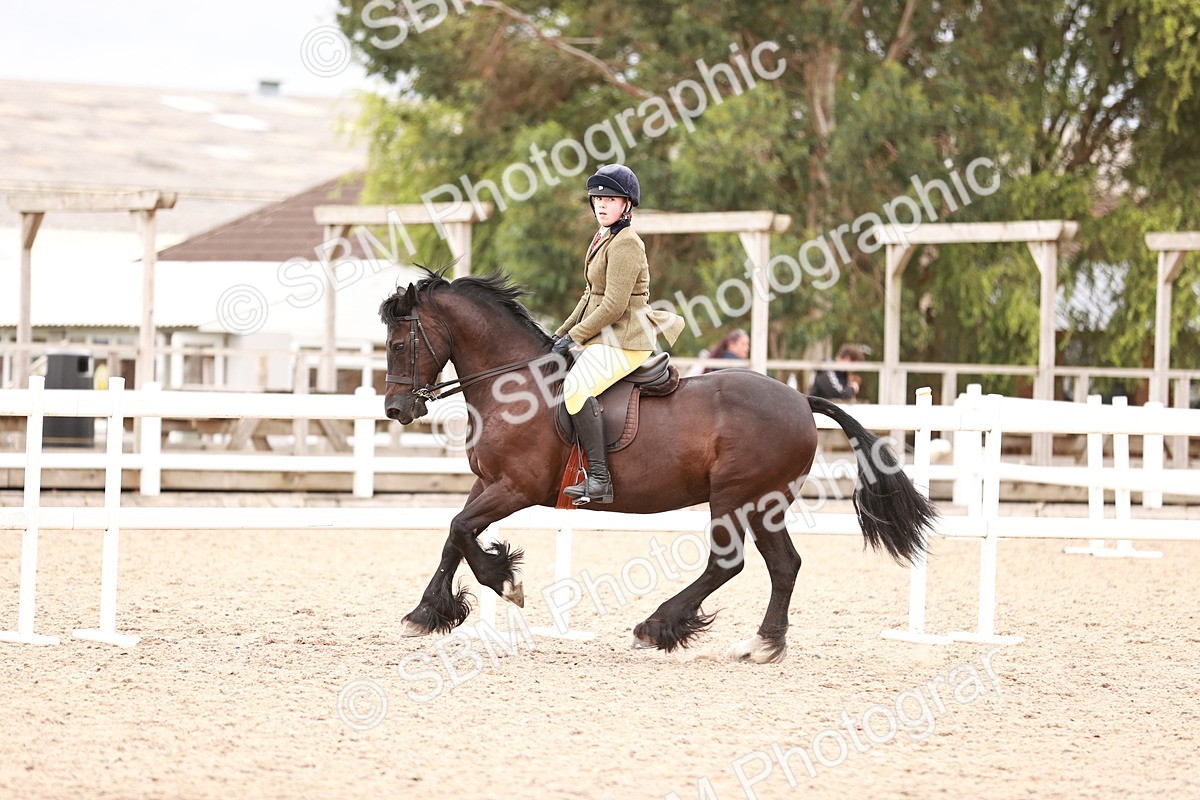 SBM_18990 - Class 422 - Ridden M&M