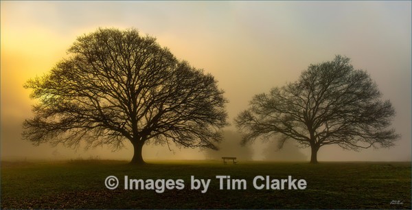 IMG_41411 - NewLands Corner