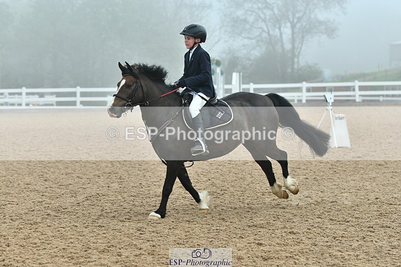 230514A-093643-02092 - Cls 21 British Novice & 80cm Open