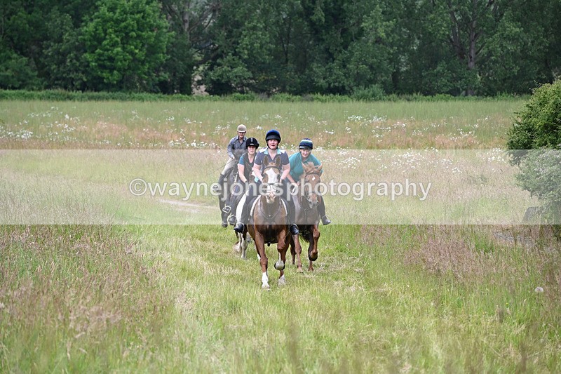WJ6_8168 - Camera 1 Gallops
