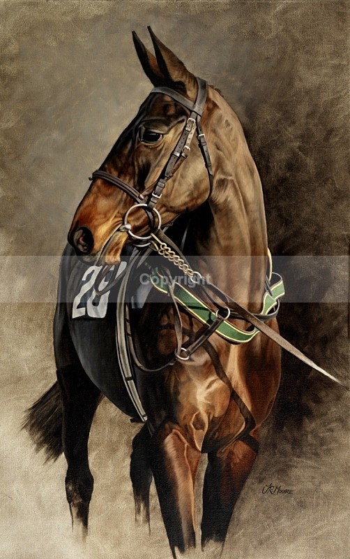 Number 28 - Equine