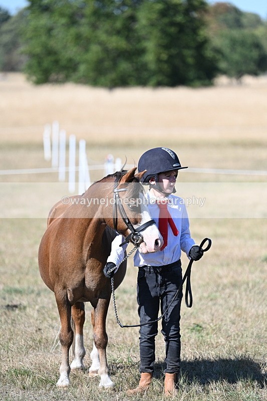 WJ7_2096 - Class 44 Child's Best Friend