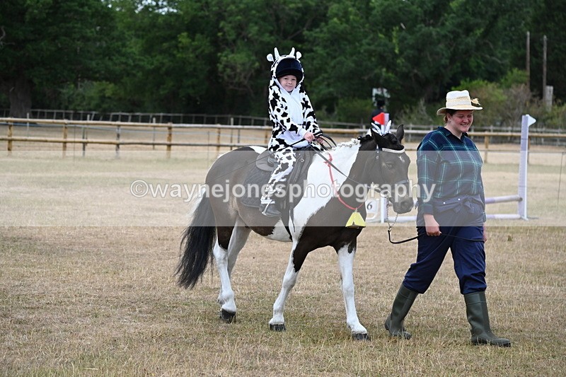 WJ6_8633 - Class 11 Fancy Dress