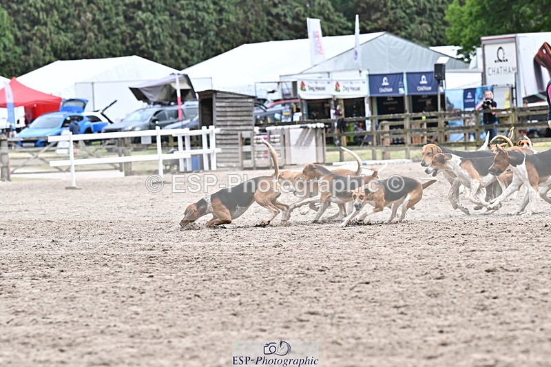 250524A-152310-12707 - East Devon Hounds