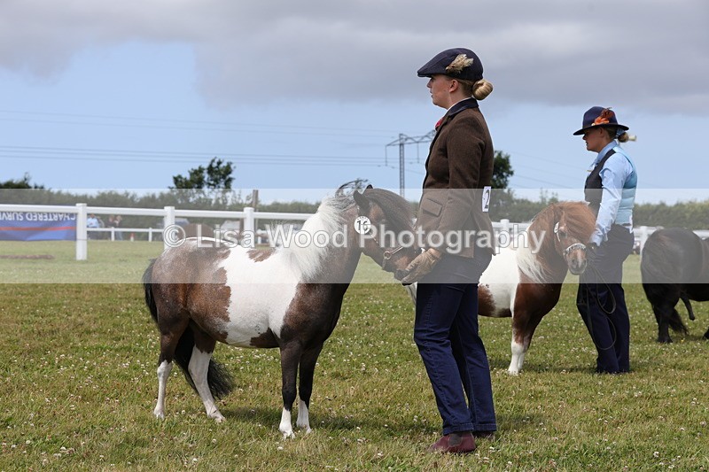 1X9A4793 - Class 35: Veteran In Hand