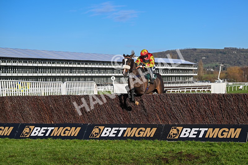 141224-Race 2-Destroytheevidence-1511 - Race 2