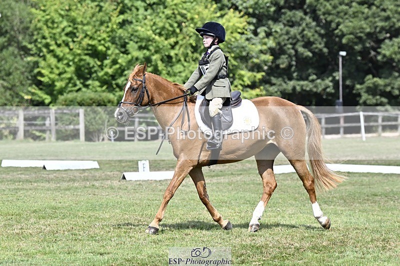 250822A-121207-22616 - DR 11.00 to 12.00