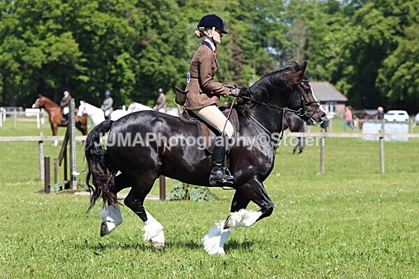 IMG_3713 - Working Hunter