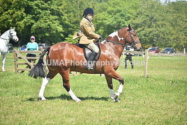DSC_9110 - Rings 1 & 2