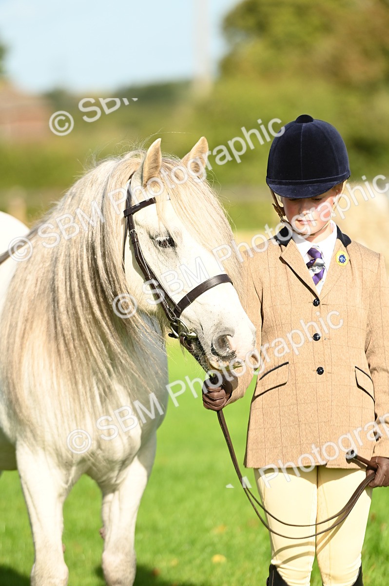 SBM_15899 - S1 - TSR in Hand Horse & Pony Showing