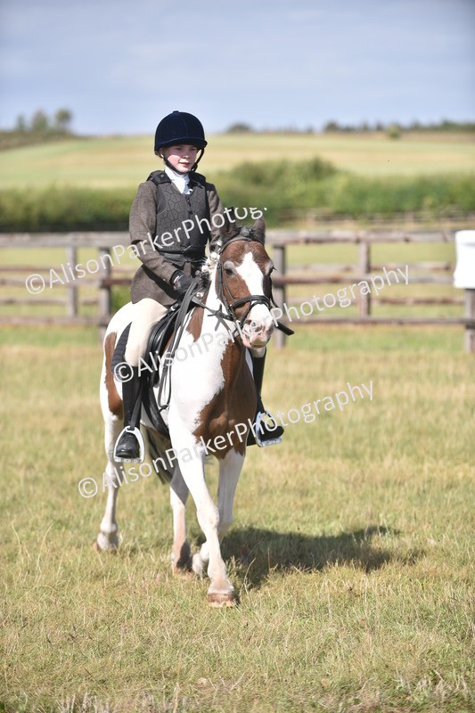 20260906-2664 - Class 12 - 14.2hh and Under