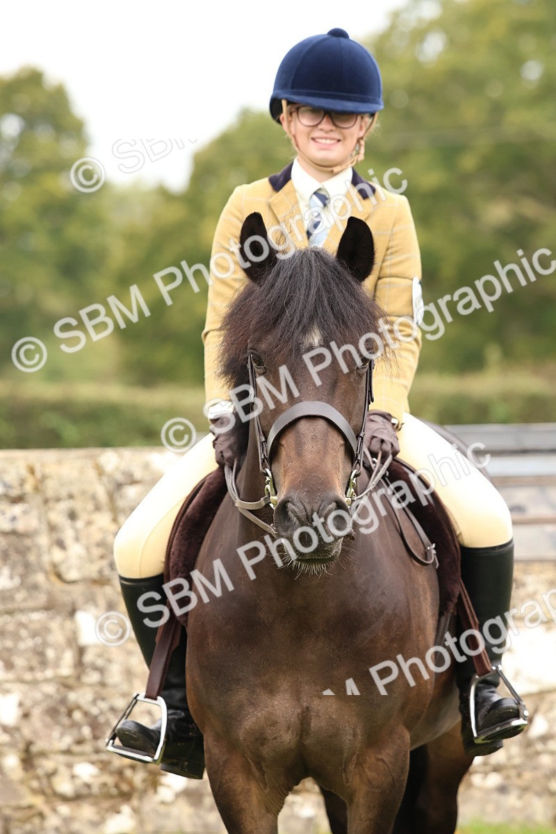SBM_59935 - S36 - Rehabiliated Rescue Horse & Pony In Hand & Ridden