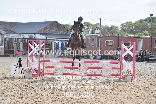 BPP_6256 - CLASS 32 MON Club/ Unaffiliated 80cms Open