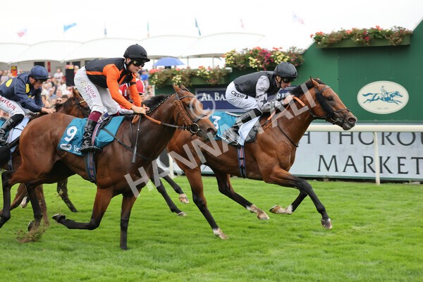 yr04092022r2-33 - Race 2 2.20pm John and Judith Marshall Memorial Stakes
