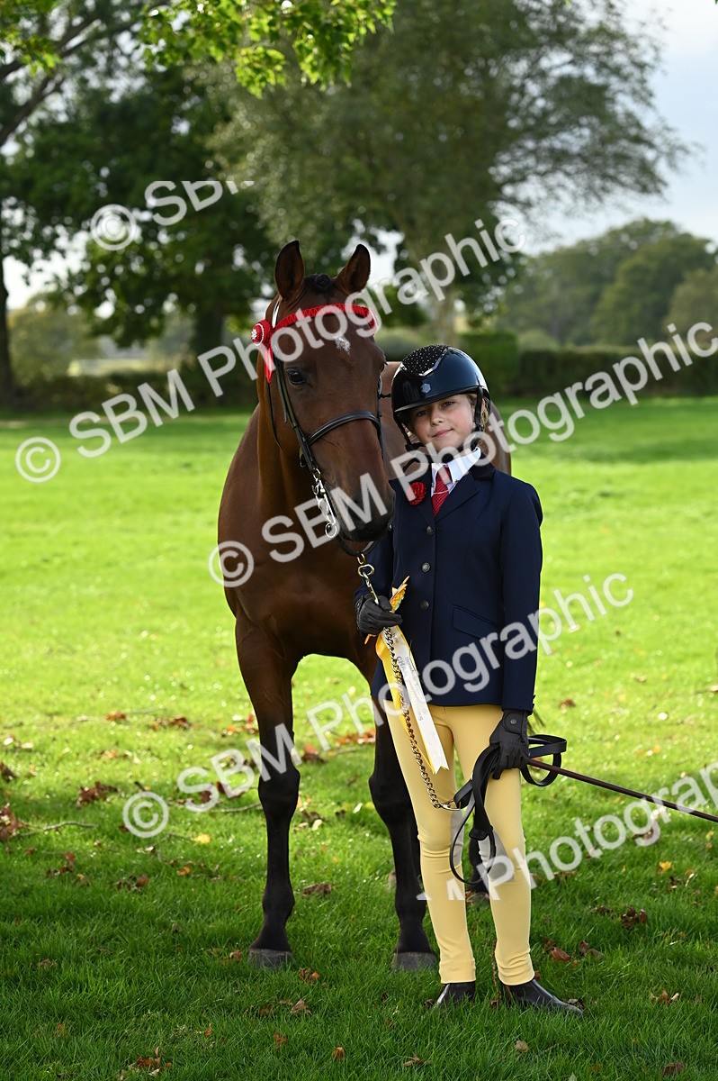 SBM_25067 - S5 - Novice & Newcomer In hand