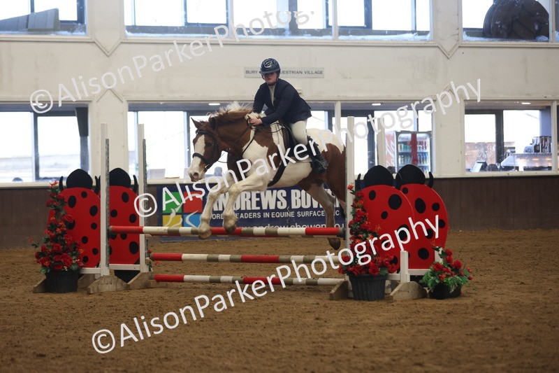 20260314-3579 - 80cm