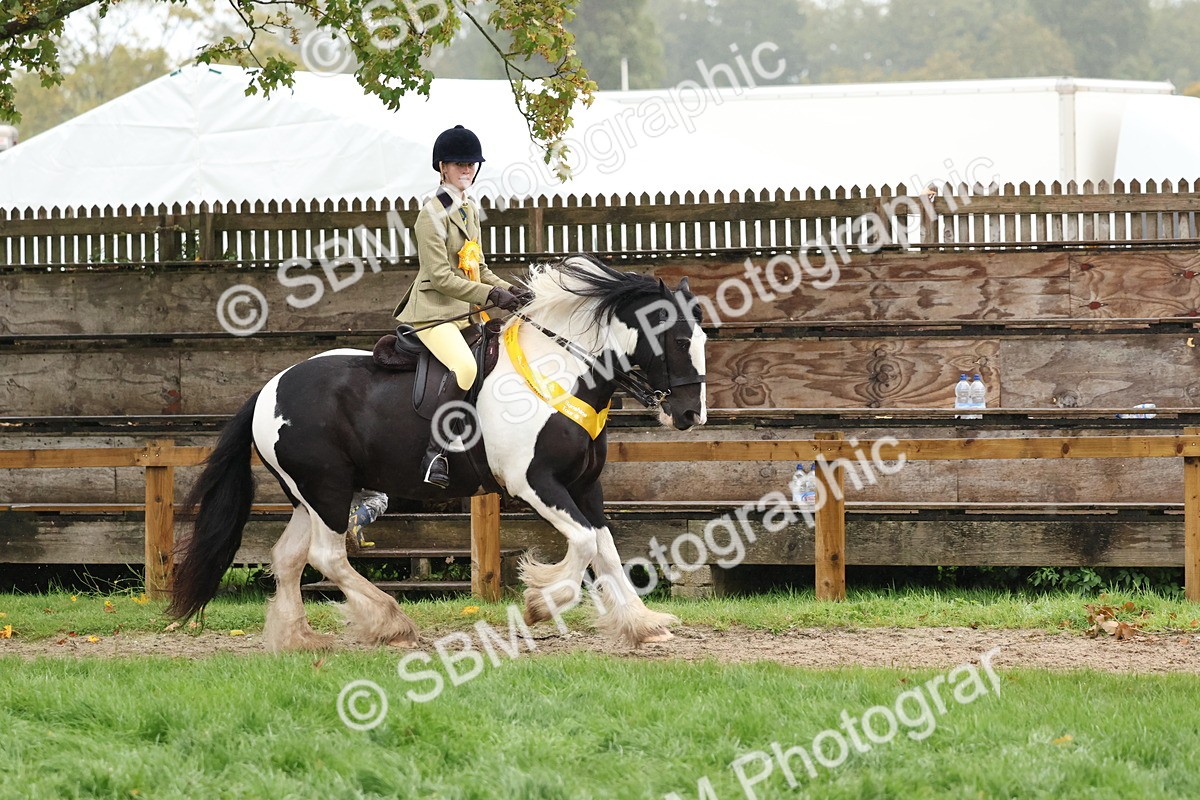 SBM_73129 - Ridden Pony Supreme Championship