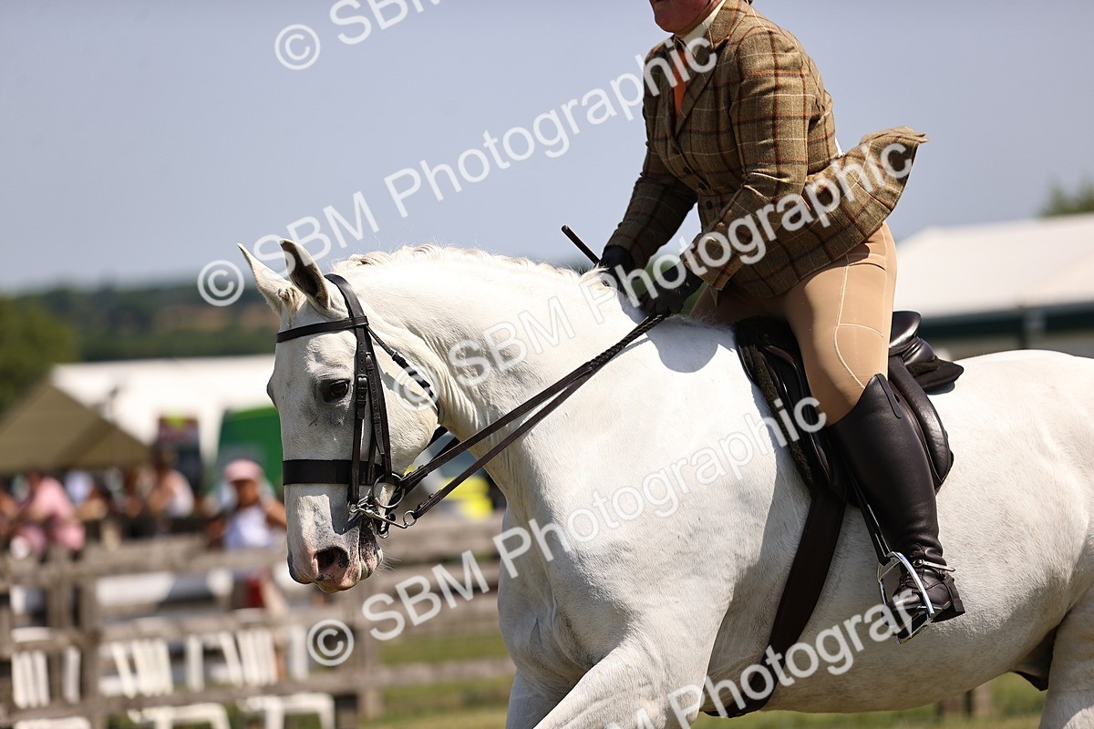 SBM_16123 - Class 79-80 - LIHS BSHA Rising Star Ridden Hunter