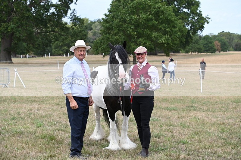 WJ6_5829 - Class 18 In-hand Coloured