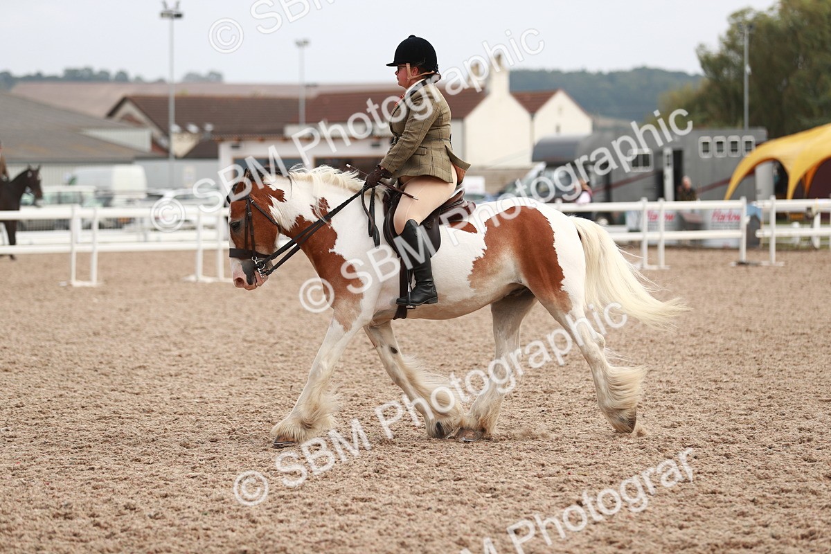 SBM_16804 - Class 214 Ridden Cob